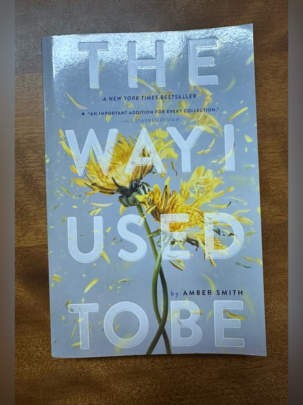 The Way I Used To Be Paperback Novel By Amber Smith